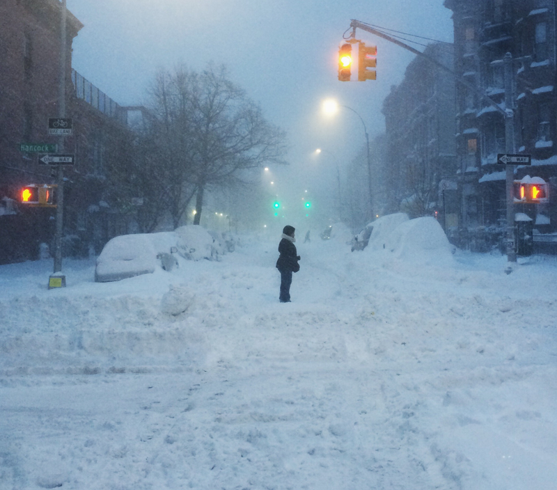 Illustration for article titled A Blizzard Grows in Brooklyn